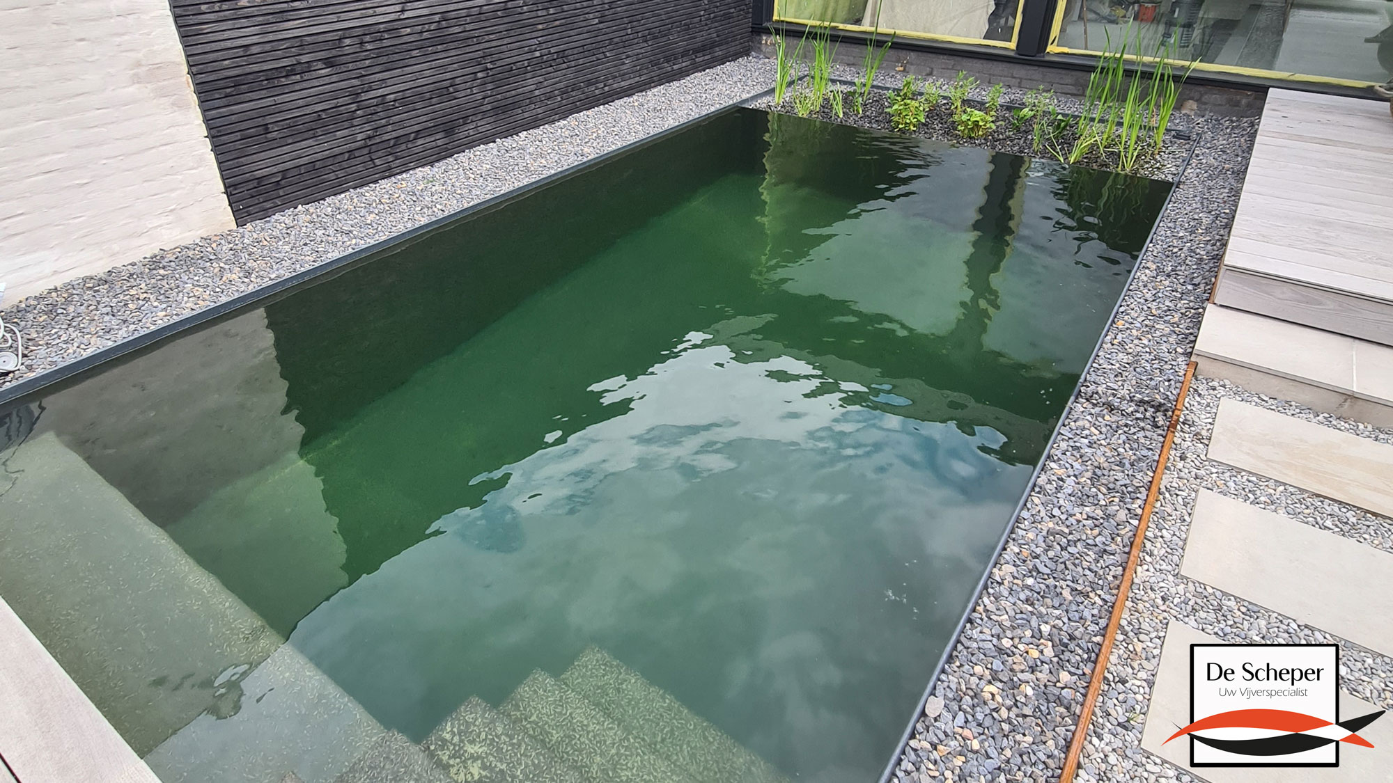 Detail van Zwemgedeelte Close-up van het zwemgedeelte van de strakke prefab zwemvijver met helder water en strakke randen.
