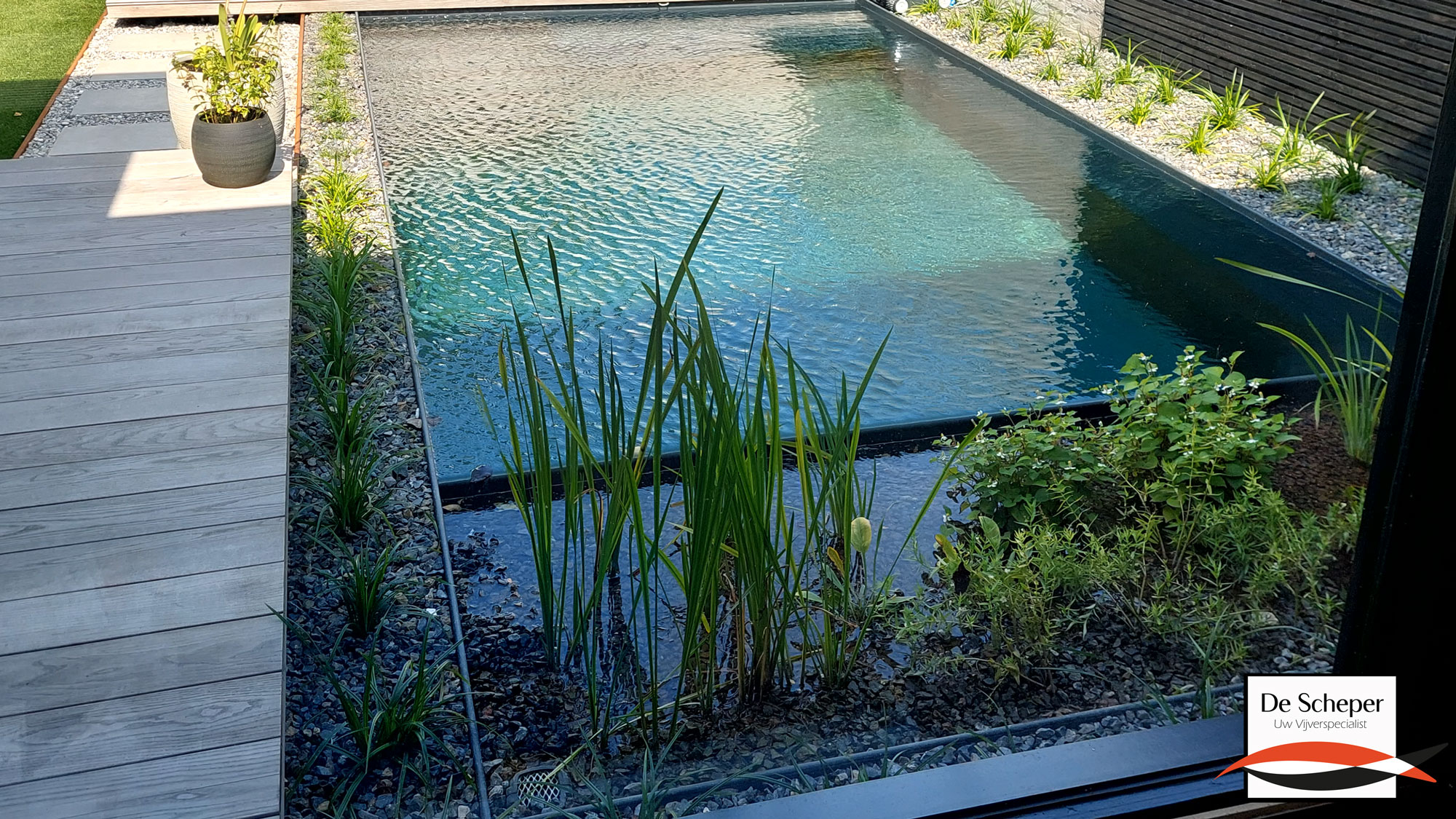 Zwemvijver en Terras Strakke prefab zwemvijver naadloos geïntegreerd met terras en moderne tuinomgeving.
