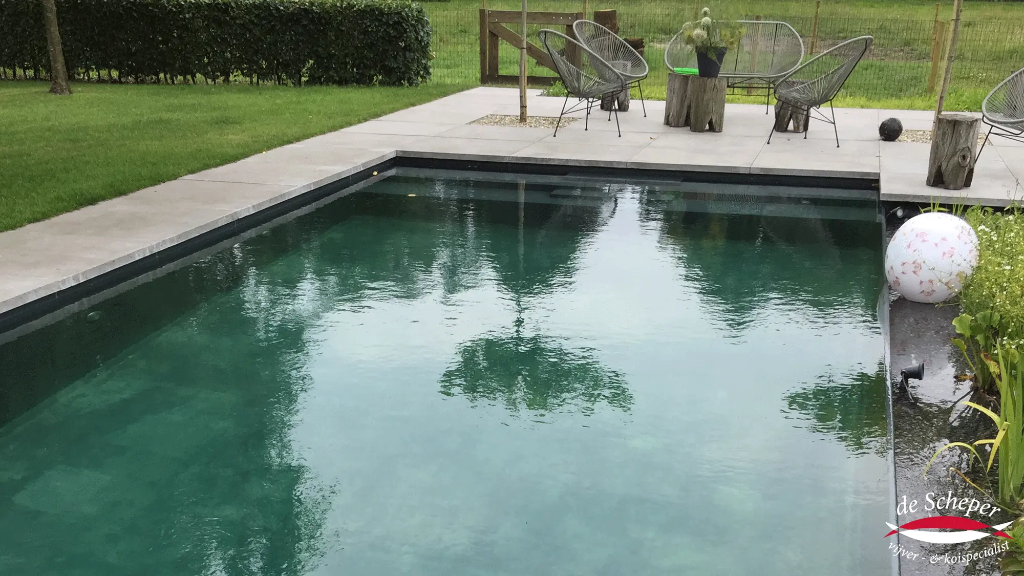 Natuurlijke plantenfilter met infinity-instroom