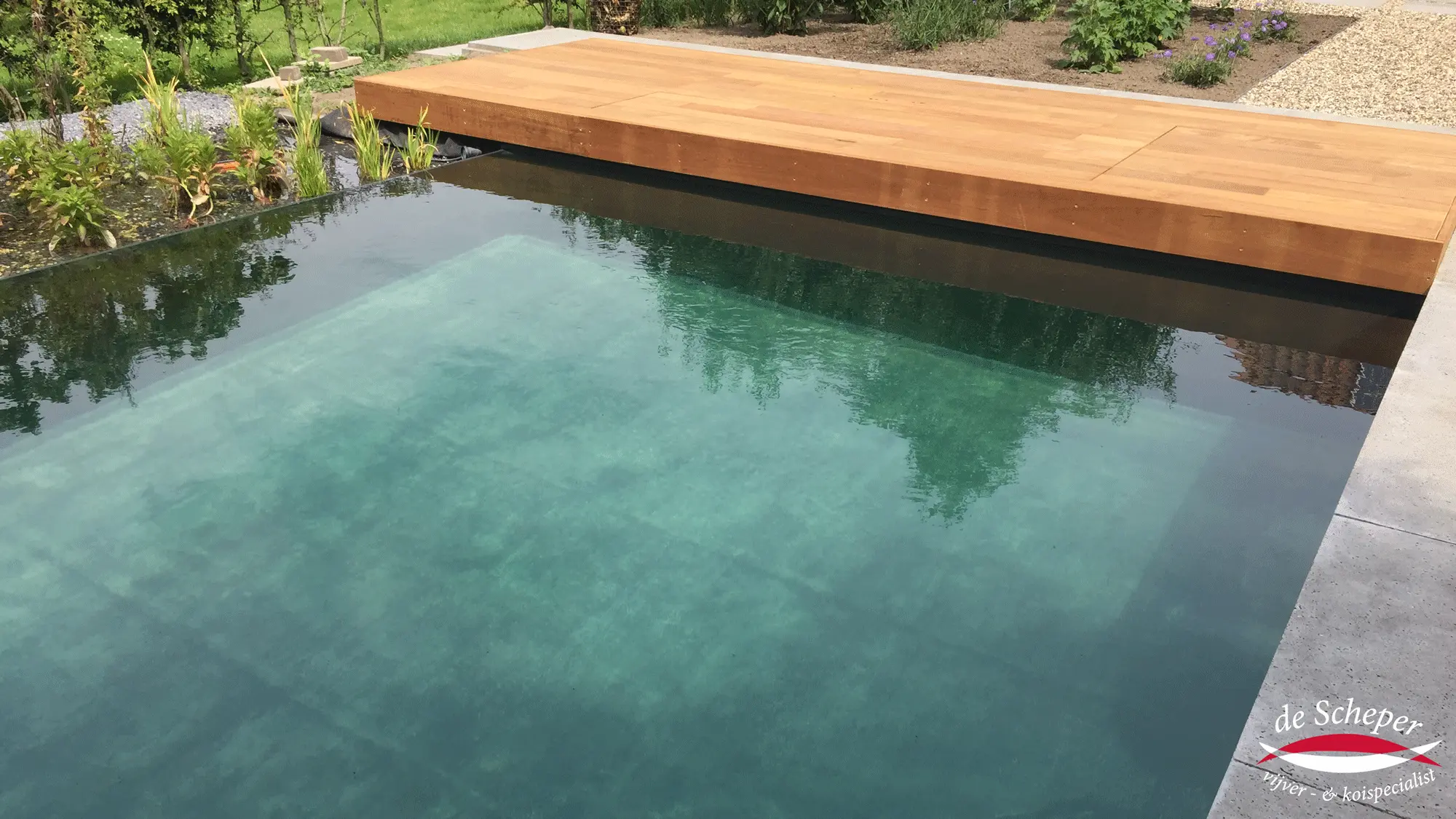 Prefab zwemvijver met strakke infinity-rand