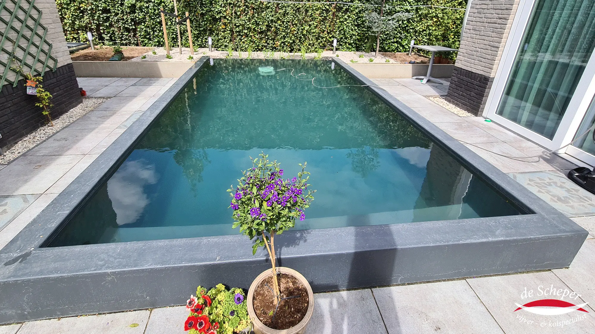 Zwemvijver met slimme waterzuivering